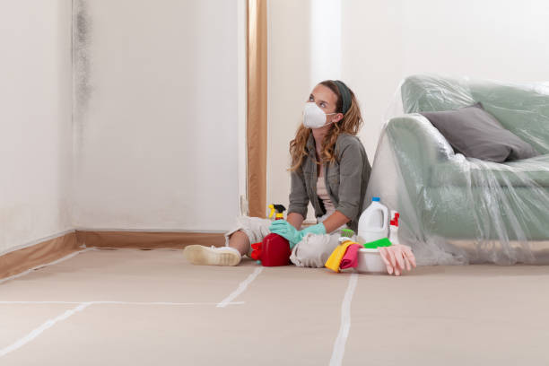 Trusted Mold Testing service in Poolesville, MD - WQB Mold Removal